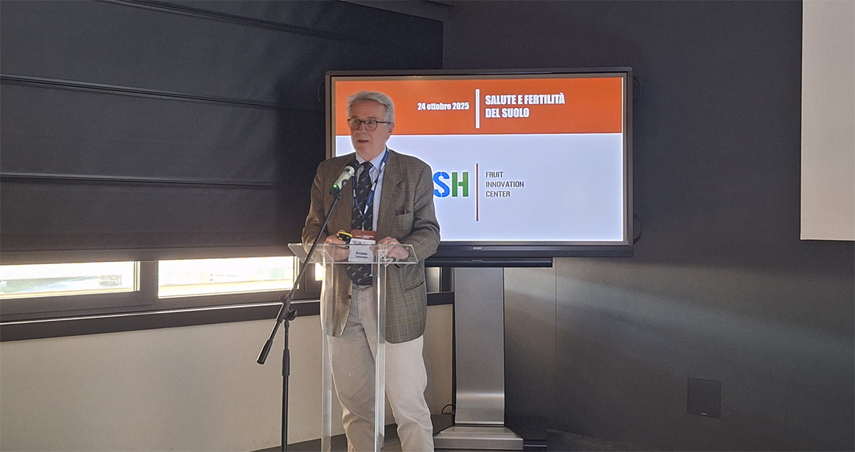 Il prof. Massimo Tagliavini (Libera Università di Bolzano)